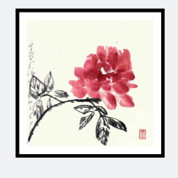 Reddish Pink Rose in Spring, Sumi-e Watercolor Painting Print